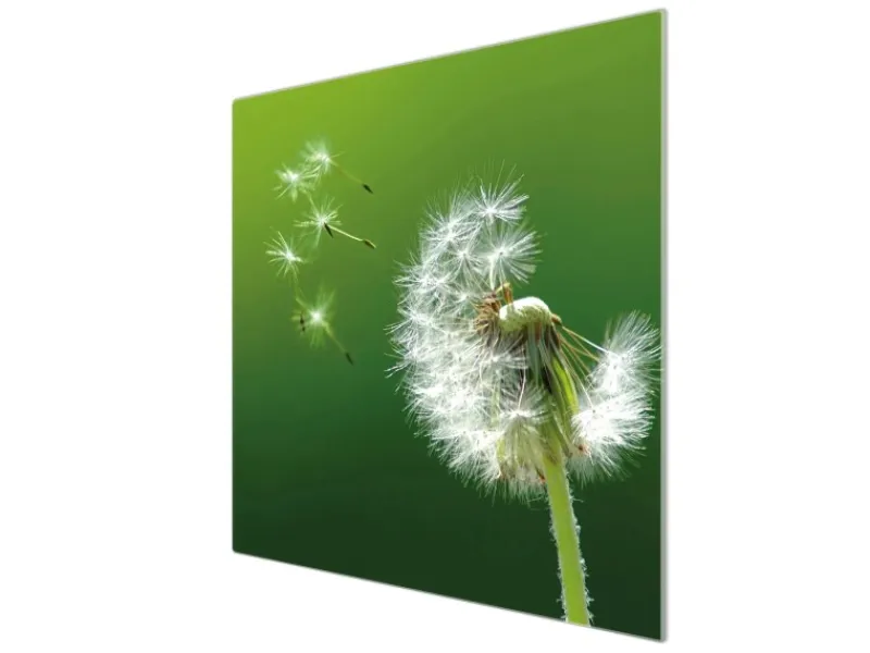 Banjado Herdabdeckplatte Glas 1 Teilig 60x52CM Schneidebrett Herdabdeckung Mit Motiv Pusteblume< Schneidebretter|Herdabdeckungen