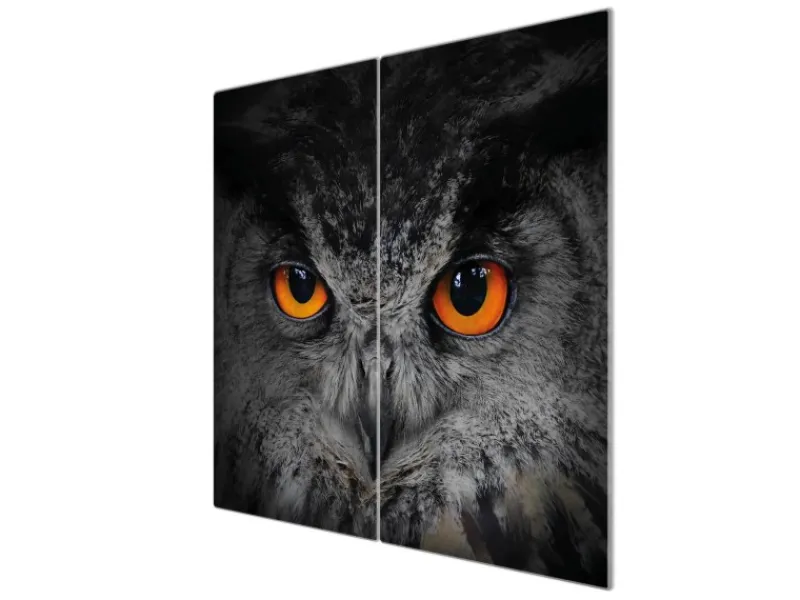 Banjado Schneidebretter|Herdabdeckungen<Herdabdeckplatte Glas 2 Teilig Je 30x52CM Schneidebrett Herdabdeckung Mit Motiv Uhu