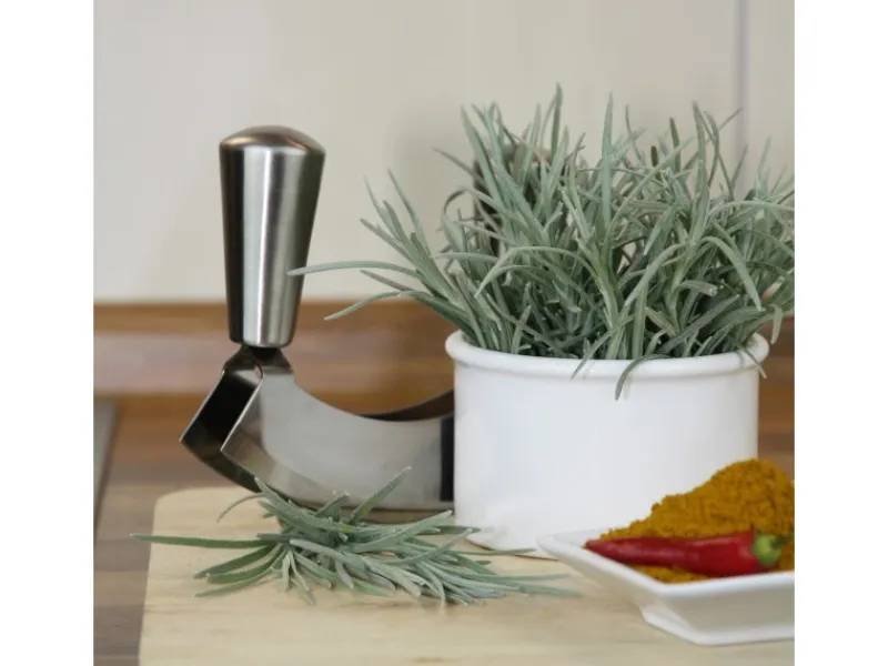 Blu Bio-Currykraut Topf-Ø ca. 12 cm Helichrysum< Töpfe