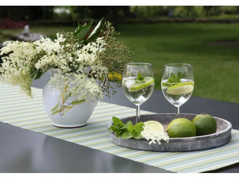 Blu Hugo Cocktail-Minze Topf-Ø ca. 12 cm