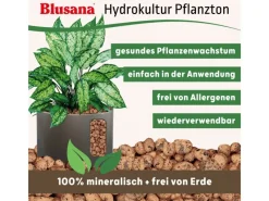 Blusana Blähton Pflanzsubstrat Pflanzton grobe Körnung 8-16 mm 25 l< Töpfe