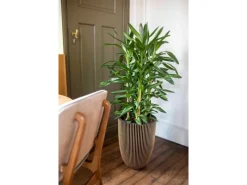 Hot Capi Pflanzgefäß Elegant Niedrig Groove Ø 46 cm x 58 cm Schwarz