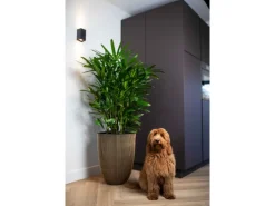 Hot Capi Pflanzgefäß Elegant Niedrig Groove Ø 46 cm x 58 cm Schwarz