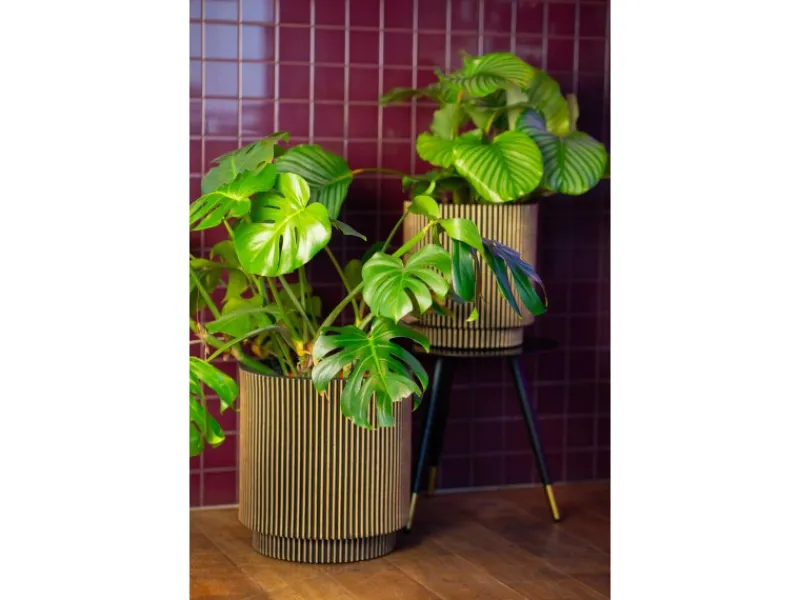 Capi Pflanzgefäß Zylinder Groove Ø 43,5 cm x 46 cm< Töpfe
