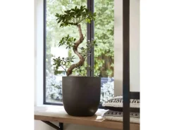 Capi Töpfe<Pflanztopf Smooth rund Ø 35 cm x 34 cm Schwarz