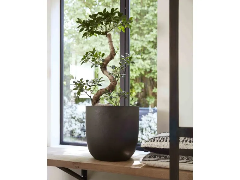 Capi Töpfe<Pflanztopf Smooth rund Ø 35 cm x 34 cm Schwarz