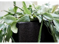 Capi Pflanztopf Smooth viereckig 50 cm x 50 cm x 50 cm Schwarz< Töpfe