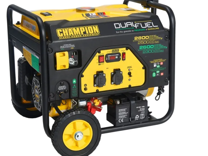 Champion Stromerzeuger AVR Technologie CPG3500E2-DF-EU DualFuel 2800 W< Kühlschränke