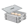 PROREGAL Vorratsdosen<CHEFGASTRO SuperSparSet 2 x Pizzaballenbox Mit 1 x Deckel HxBxT 8,5 x 30 x 40 cm 9 Liter Teigwanne Für Pizzateig Sstapelbare Pizzabox