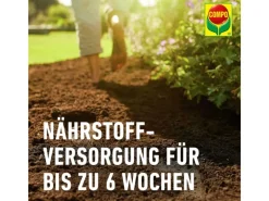 Outlet Compo Bio Anzucht- und Kräutererde Torffrei 20 l