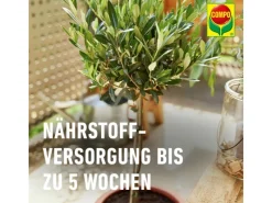 Compo Töpfe<Bio Mediterrane Pflanzenerde Torffrei 40 l