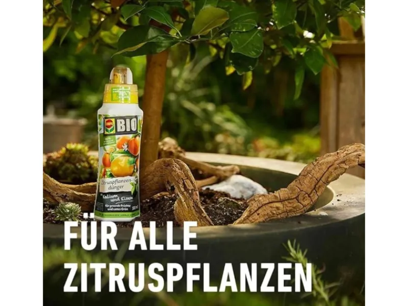 Compo Bio Zitruspflanzendünger 500 ml< Töpfe