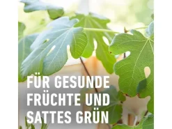 Compo Bio Zitruspflanzendünger 500 ml< Töpfe