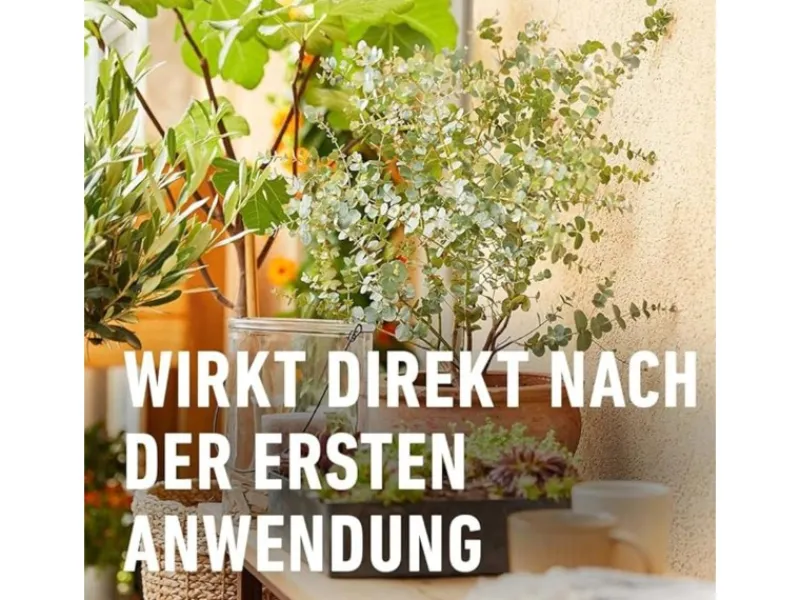 Compo Bio Zitruspflanzendünger 500 ml< Töpfe