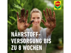 Compo Töpfe<Sana Bonsaierde 5 l