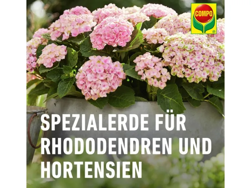 Compo Sana Rhododendronerde 1 x 20 l< Töpfe