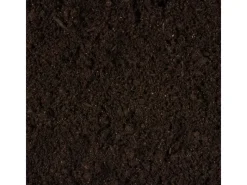 Compo Sana Rhododendronerde 1 x 20 l< Töpfe