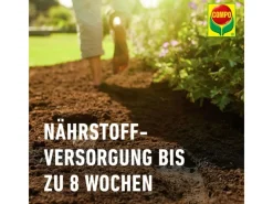 Compo Sana Rhododendronerde 1 x 20 l< Töpfe