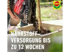 Compo Sana Rosenerde 1 x 40 l< Töpfe