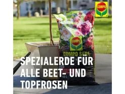 Compo Töpfe<Sana Rosenerde 1 x 20 l
