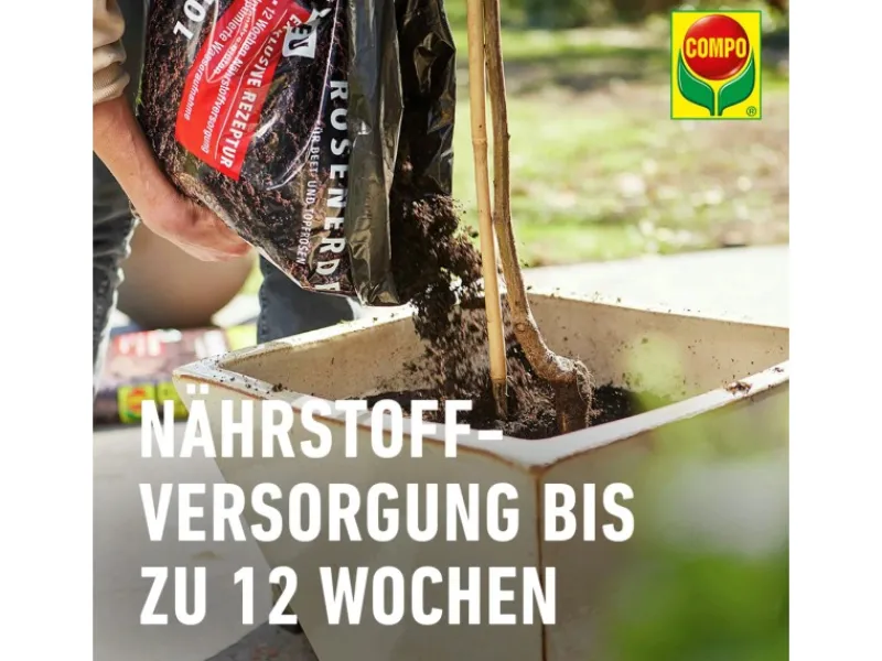 Compo Töpfe<Sana Rosenerde 1 x 20 l