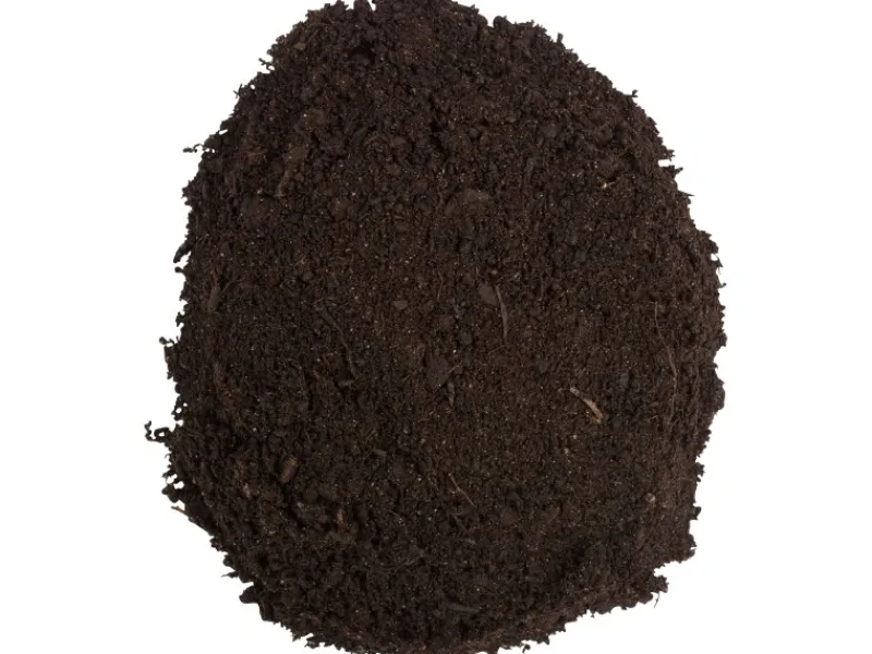 Compo Töpfe<Sana Rosenerde 1 x 20 l