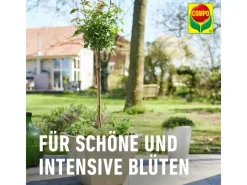 Compo Töpfe<Sana Rosenerde 1 x 20 l