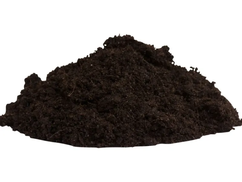 Compo Töpfe<Sana Rosenerde 1 x 20 l