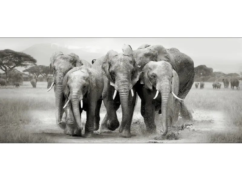 Hot Pro Art Deco Panel Anonymus Elephant Herd 117 cm x 49 cm