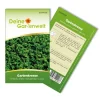 Deine Gartenwelt Gartenkresse Einfache Grüne Samen< Töpfe
