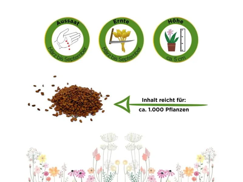 Deine Gartenwelt Gartenkresse Einfache Grüne Samen< Töpfe