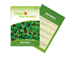Deine Gartenwelt Glücksklee Zwiebeln Samen< Töpfe