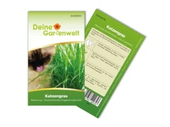 Deine Gartenwelt Töpfe<Katzengras Mischung Samen