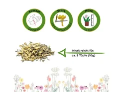 Deine Gartenwelt Töpfe<Katzengras Mischung Samen