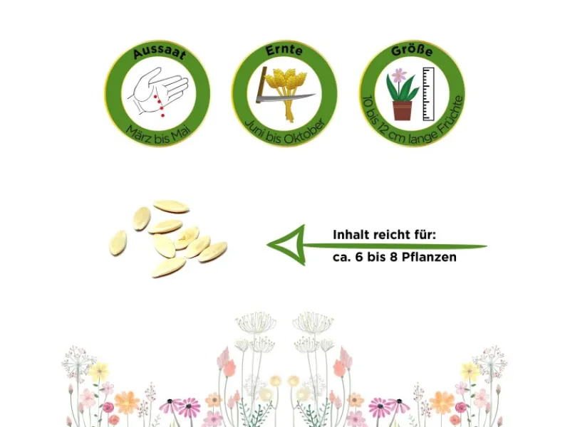 Deine Gartenwelt Mini-Snackgurke Salamanda F1 Samen< Töpfe