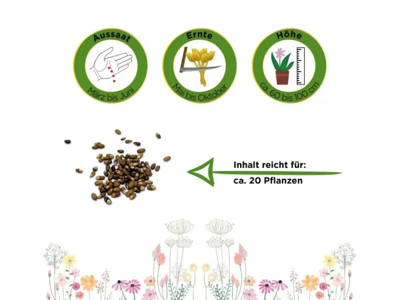 Deine Gartenwelt Rosmarin Samen< Töpfe
