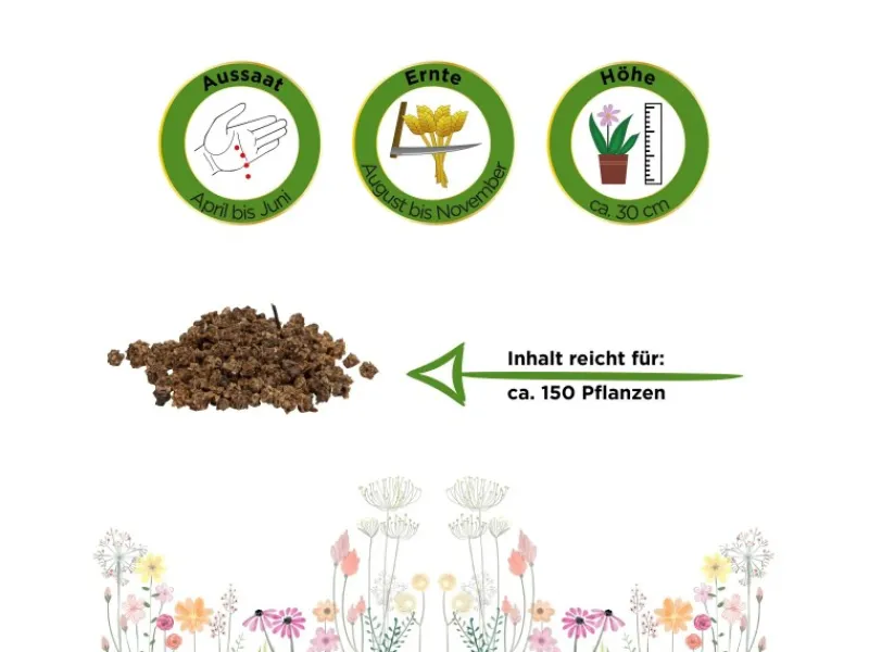 Deine Gartenwelt Töpfe<Rote Beete Rote Kugel Samen