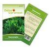 Deine Gartenwelt Sauerampfer De Belleville Samen< Töpfe
