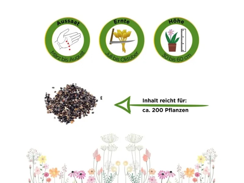 Deine Gartenwelt Sauerampfer De Belleville Samen< Töpfe