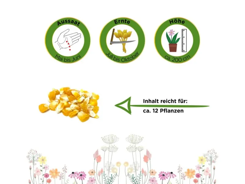 Clearance Deine Gartenwelt Zuckermais Golden Bantam Samen