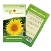 Hot Deine Gartenwelt Zwergsonnenblume Pacino Gold Samen
