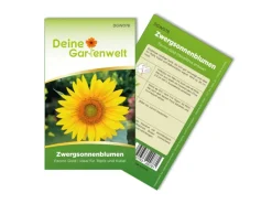Hot Deine Gartenwelt Zwergsonnenblume Pacino Gold Samen