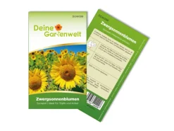 Deine Gartenwelt Zwergsonnenblume Sunspot Samen< Töpfe