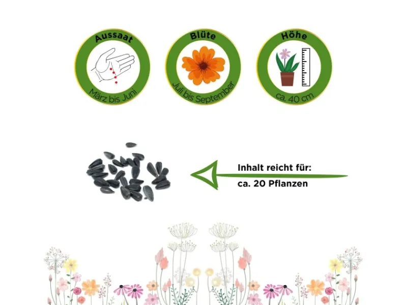 Deine Gartenwelt Zwergsonnenblume Sunspot Samen< Töpfe