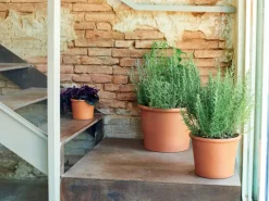 Deroma Töpfe<Pflanzkübel Zylinder Bordato Ø 9 cm Terrakotta