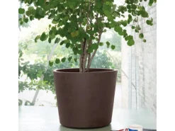 Deroma Pflanztopf Millennium mit Rollen Ø 59 cm< Töpfe