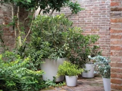 Deroma Pflanztopf Origin Plant Pot 38 cm Hellgrau< Töpfe