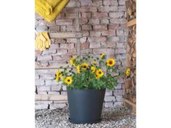 Deroma Pflanztopf Origin Plant Pot 38 cm< Töpfe