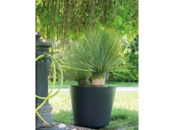 Online Deroma Pflanztopf Origin Plant Pot 78 cm Anthrazit