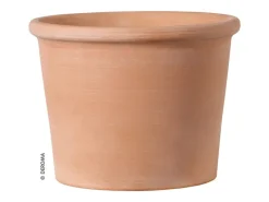 Deroma Pflanztopf Zylinder Bordato 43 cm Weiß< Töpfe
